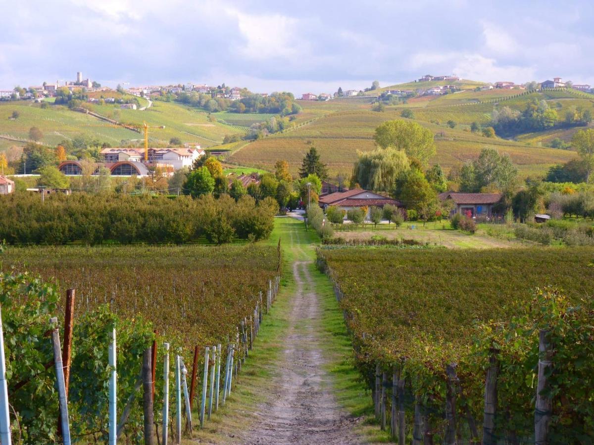 Alojamento de Turismo Rural Viticcio *
