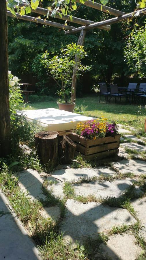 Farm stay Viticcio *