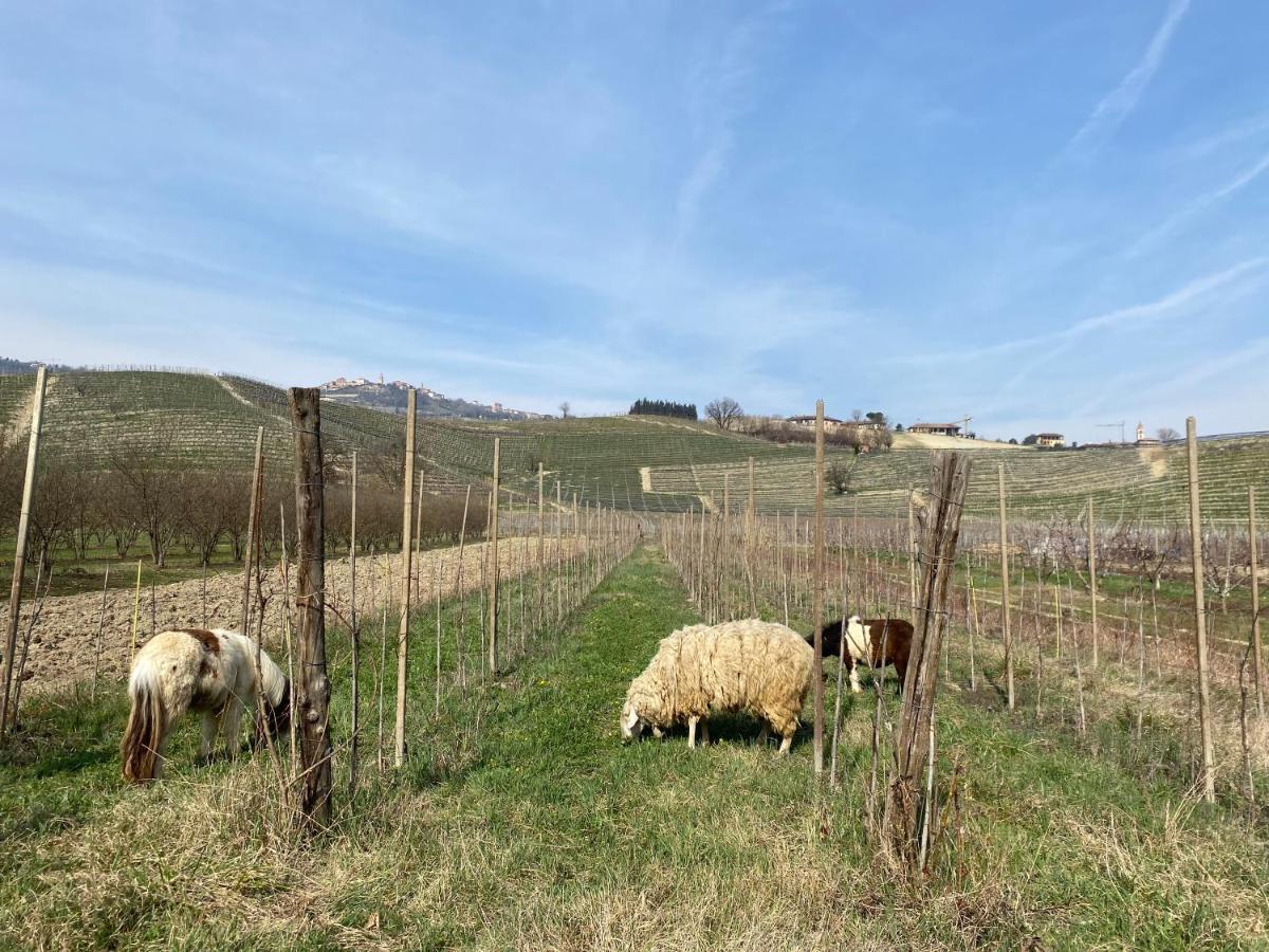 Viticcio Farm stay