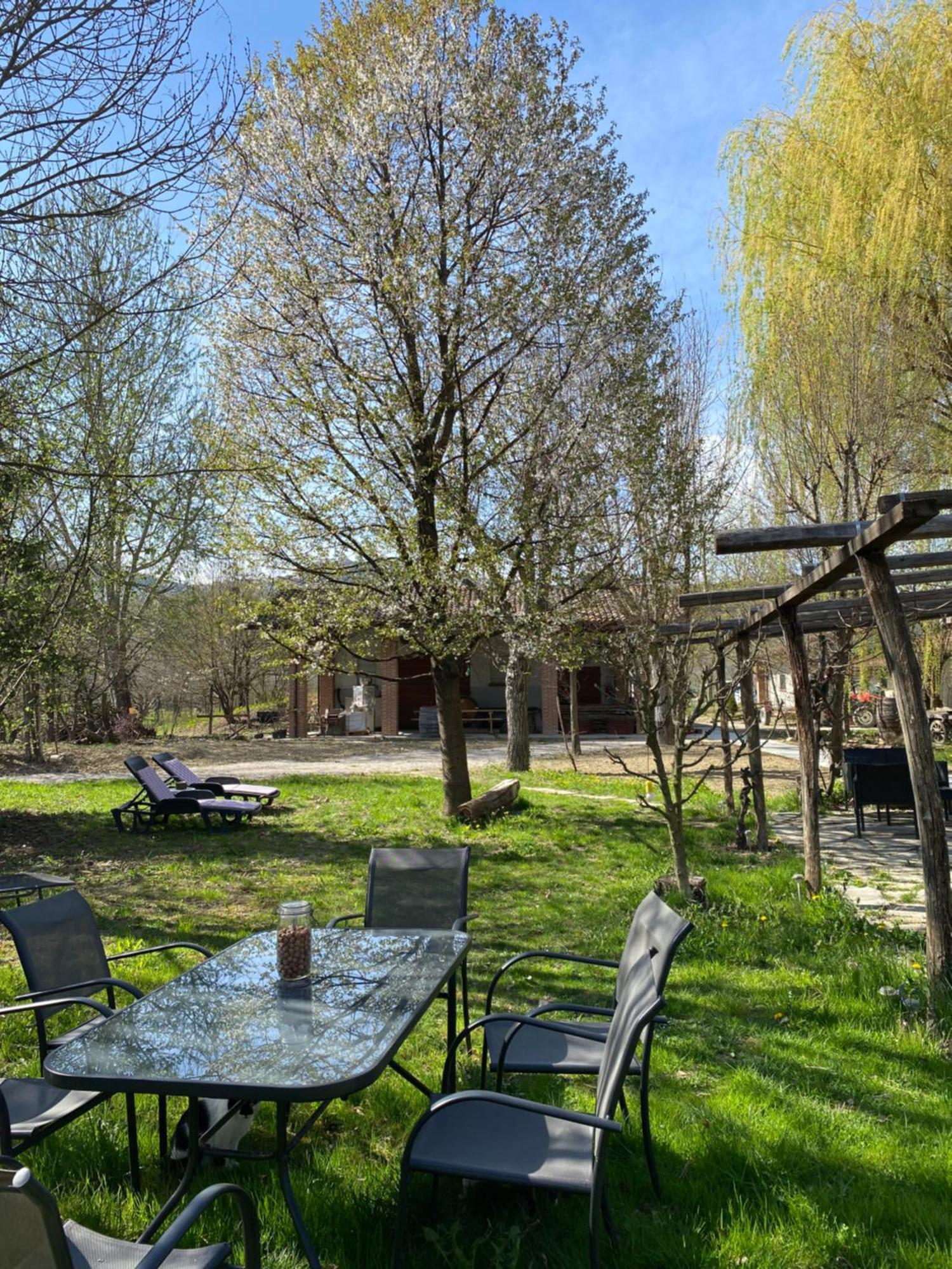 Viticcio Alojamento de Turismo Rural La Morra