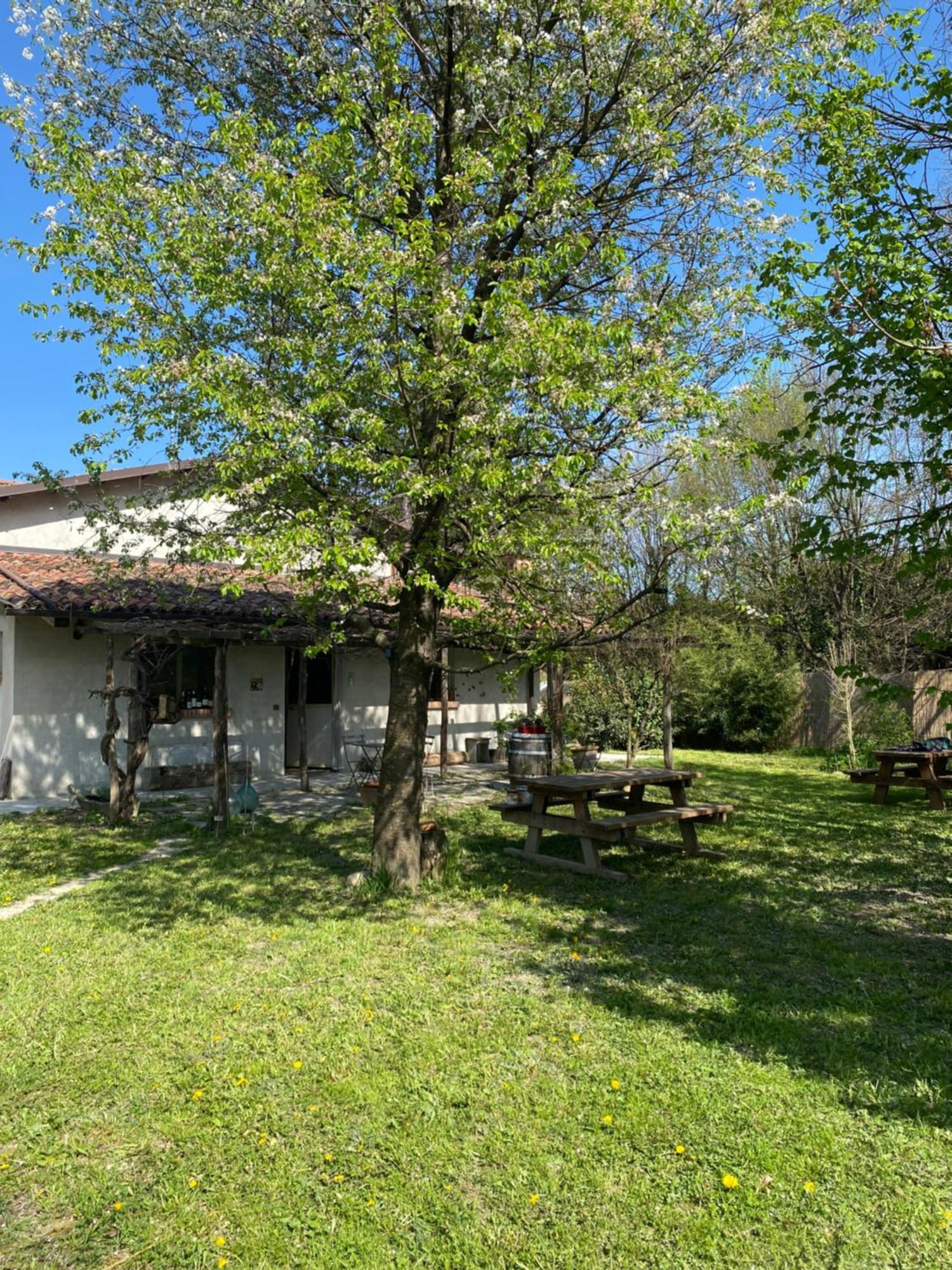 Viticcio Farm stay *