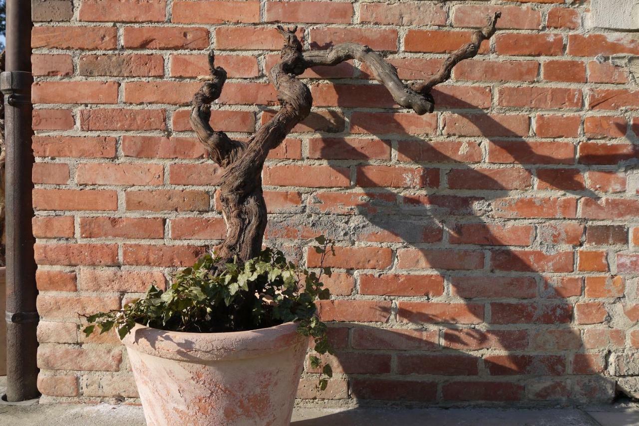Viticcio Farm stay *
